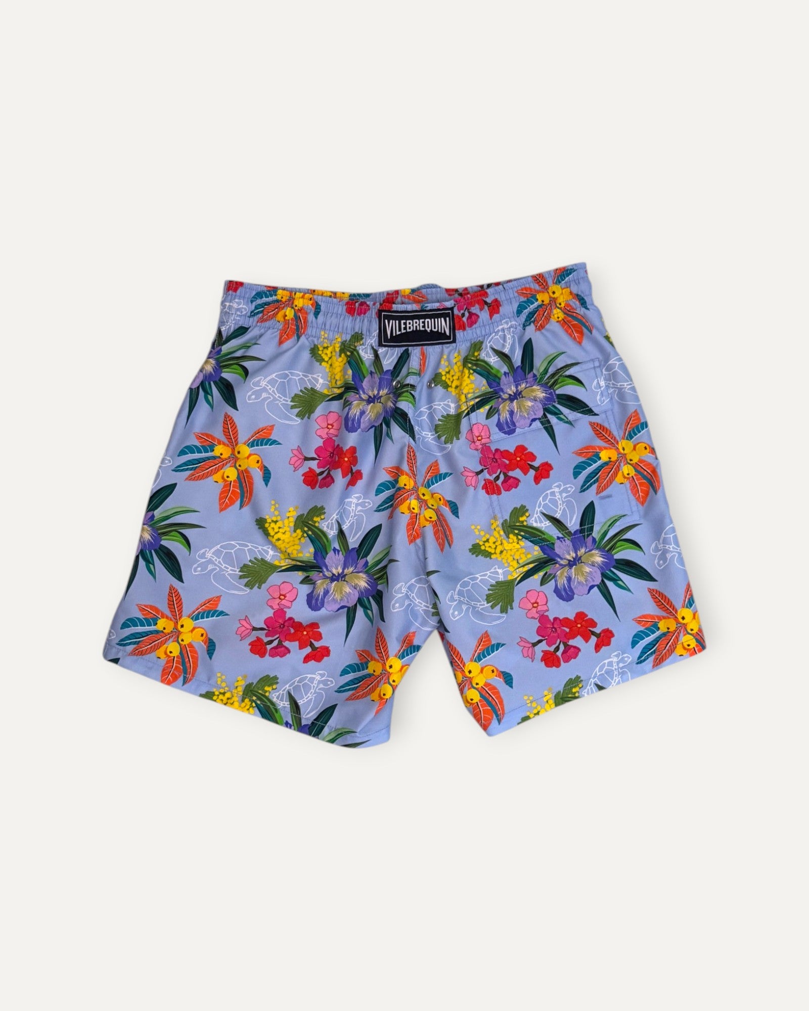 Moorea Garden Turtle Swimming Short