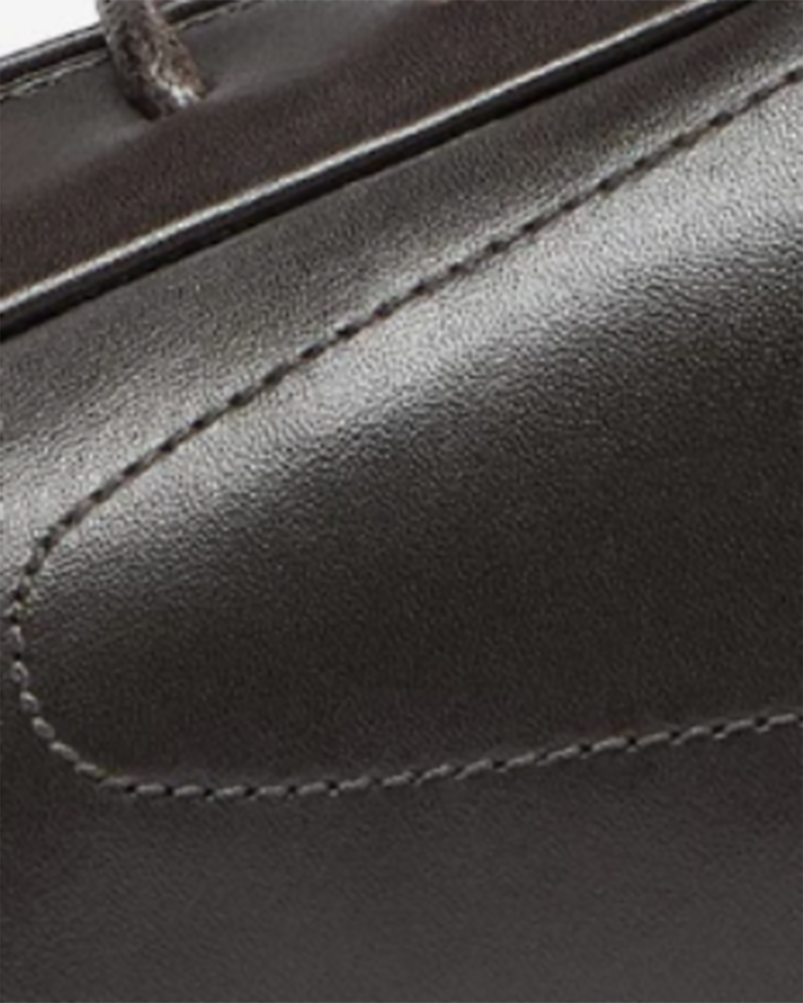 Sirolo Cupsole Trainer Dark Brown