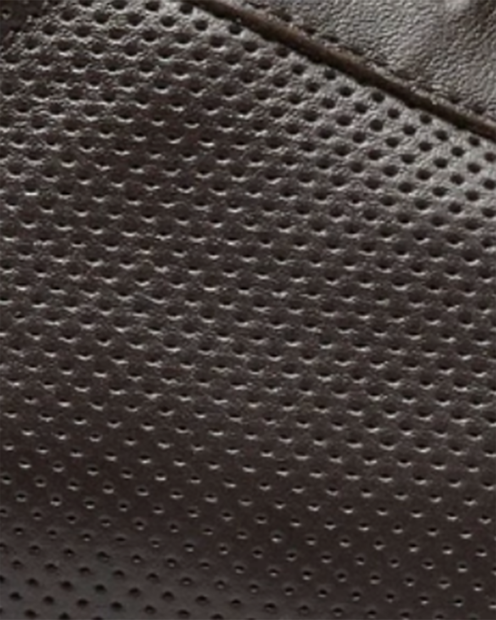 Almada Perforated Cupsole Trainer Brown